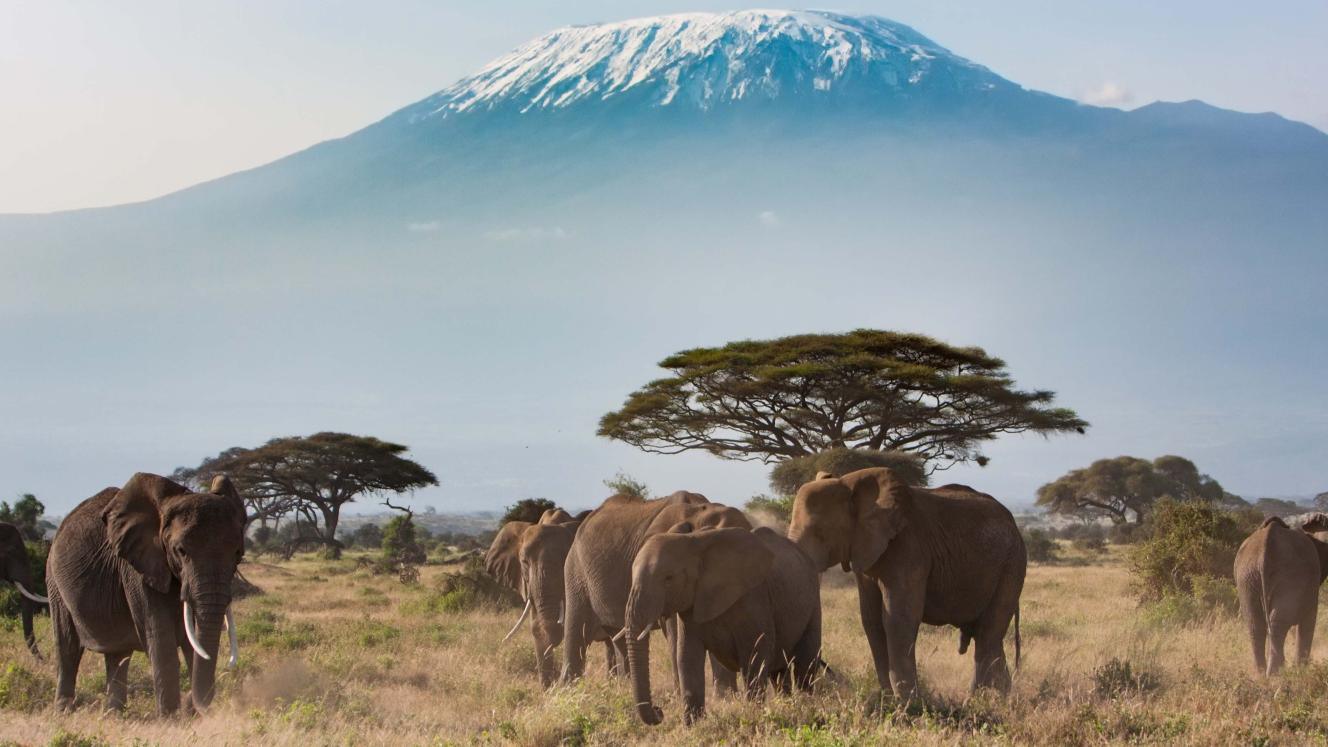 Operators challenge KWS payment system