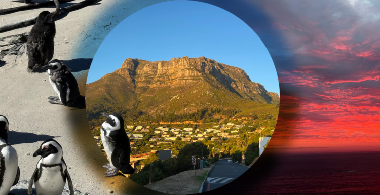 Letter from Cape Town: Finding your Table Mountain - WiT