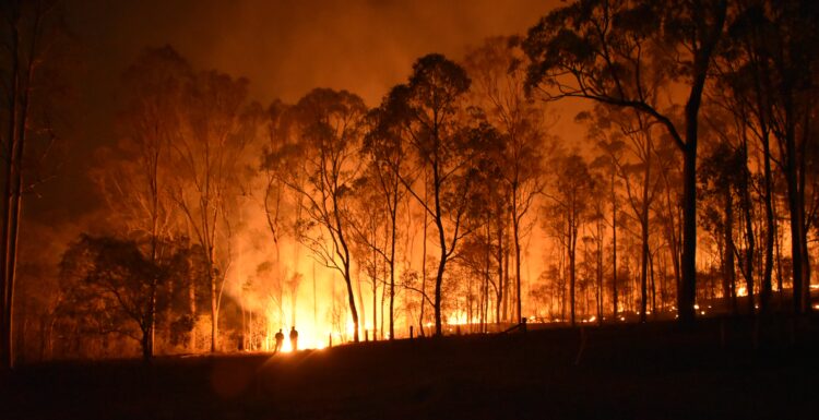 IAG Renews Aboriginal Partnership to Boost Fire Resilience