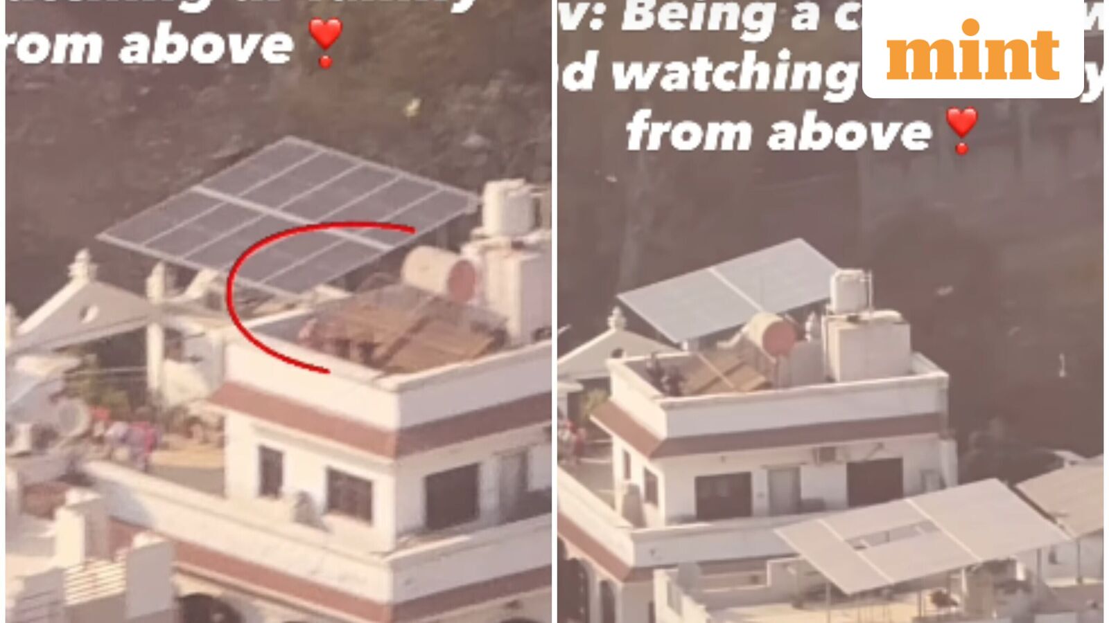 IndiGo air hostess spots family waving from rooftop during landing, video goes viral: ‘What a surrea...
