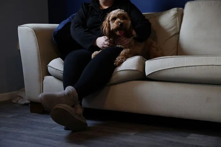 India imposes stricter rules for homestays following attack on US tourist in Karnataka