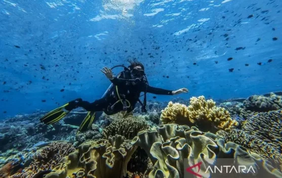 Indonesia Eyes Quality Tourism Growth at ADEX Singapore 2026