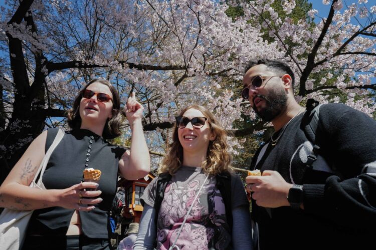 Japan tourism hits record despite China spat, Iran conflict