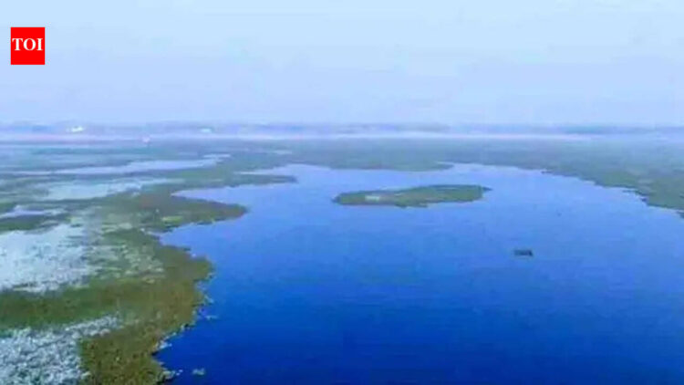 Kaushambi’s Alwara lake to turn into eco-tourism site | Prayagraj News