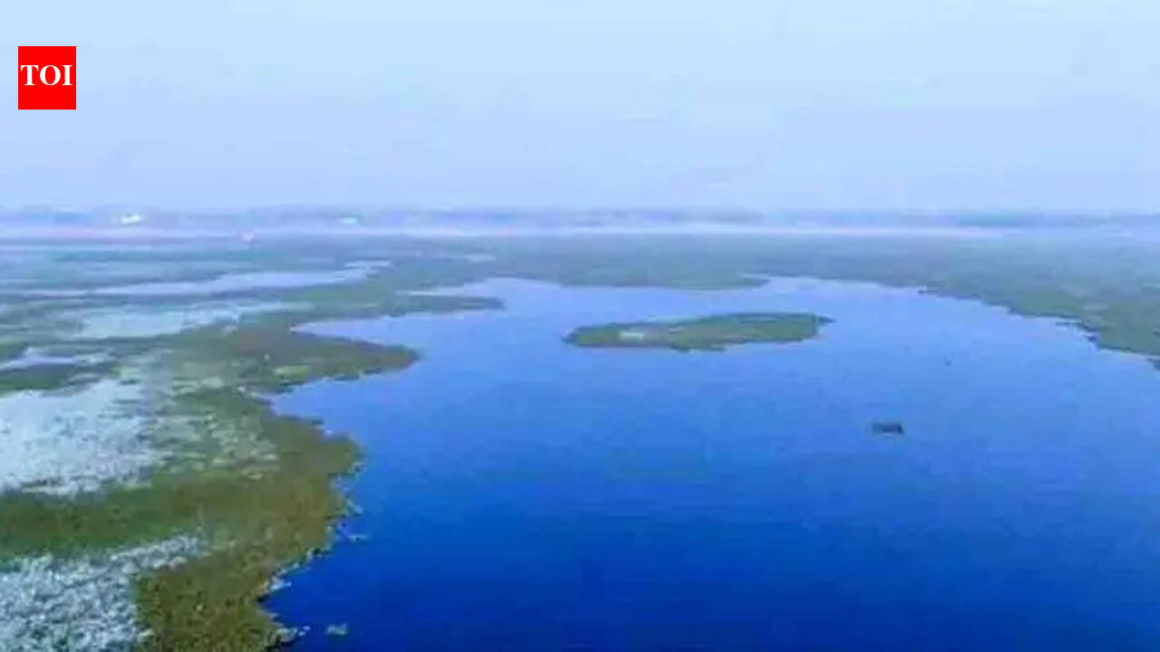 Kaushambi’s Alwara lake to turn into eco-tourism site | Prayagraj News