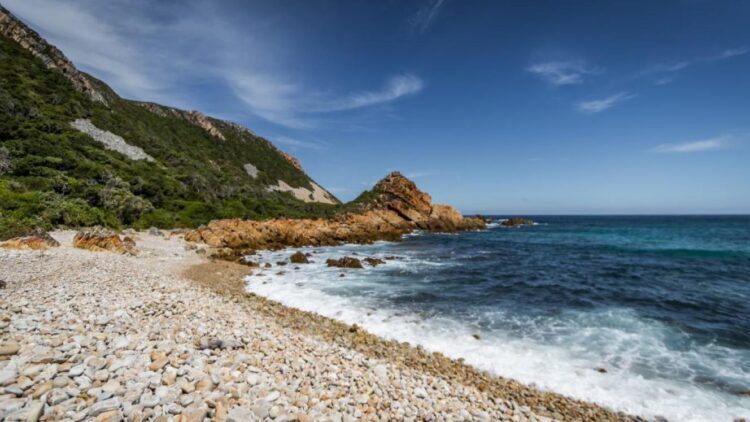 Kranshoek Viewpoint temporarily closed | Southern & East African Tourism Update