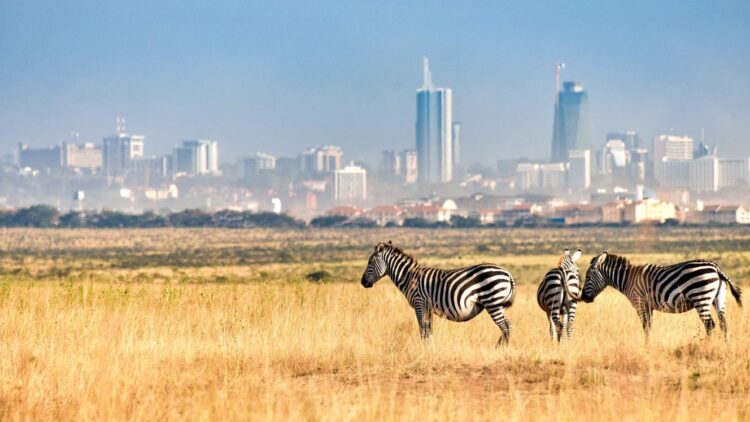 Conservation row erupts over Nairobi National Park development
