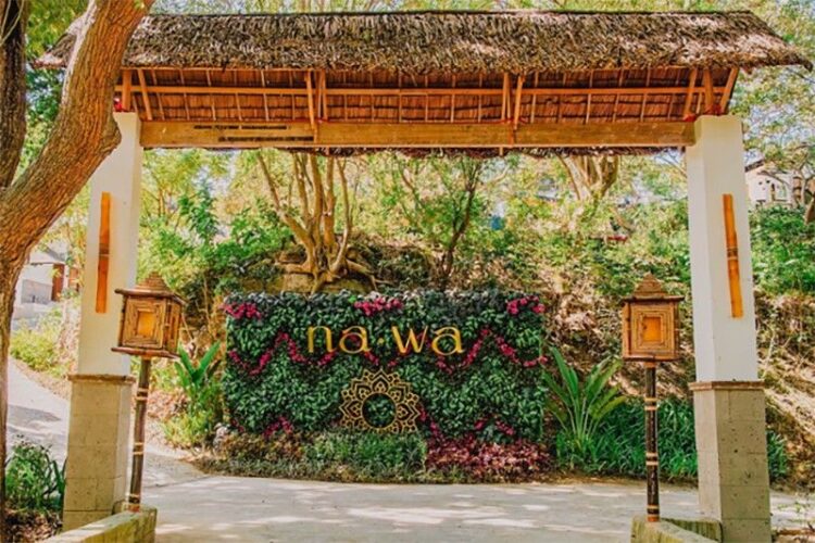 Rooted and renewed: Nawa Wellness launches signature retreats with Panatag