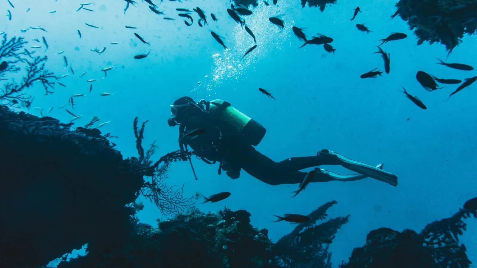 How Recreational Scuba Diving Is Promoting Regenerative Tourism In Goa
