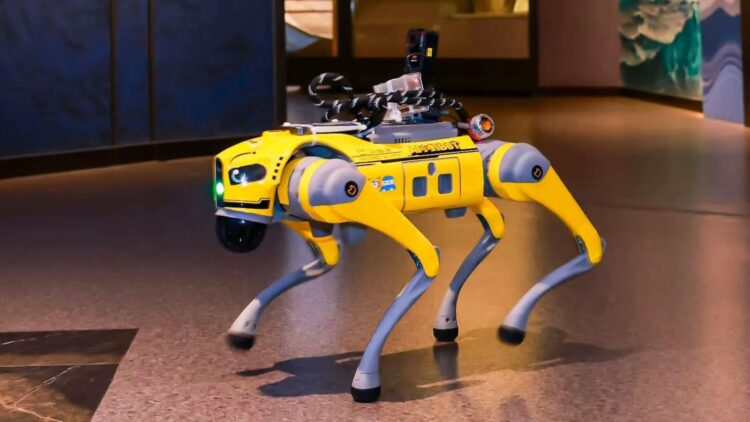 Singapore Launches AI Robodog Guides to Enhance Visitor Experience