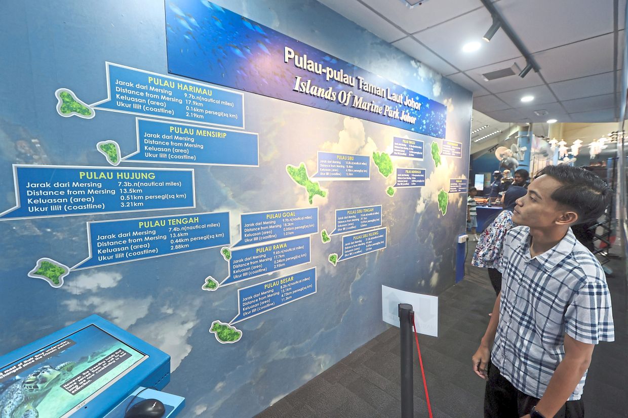 Linking sustainable tourism with environmental responsibility goals