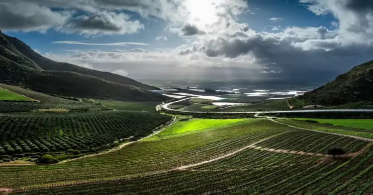 Swartland art scene, Riebeek Kasteel galleries, Riebeek Valley art weekend, Darling art studios, Yzerfontein art route, Solo Studios 2026, Western Cape creative travel, Cape Town weekend escape, Swartland contemporary art, rural art tourism South Africa, art getaway Western Cape, local artists Swartland, Getaway Magazine