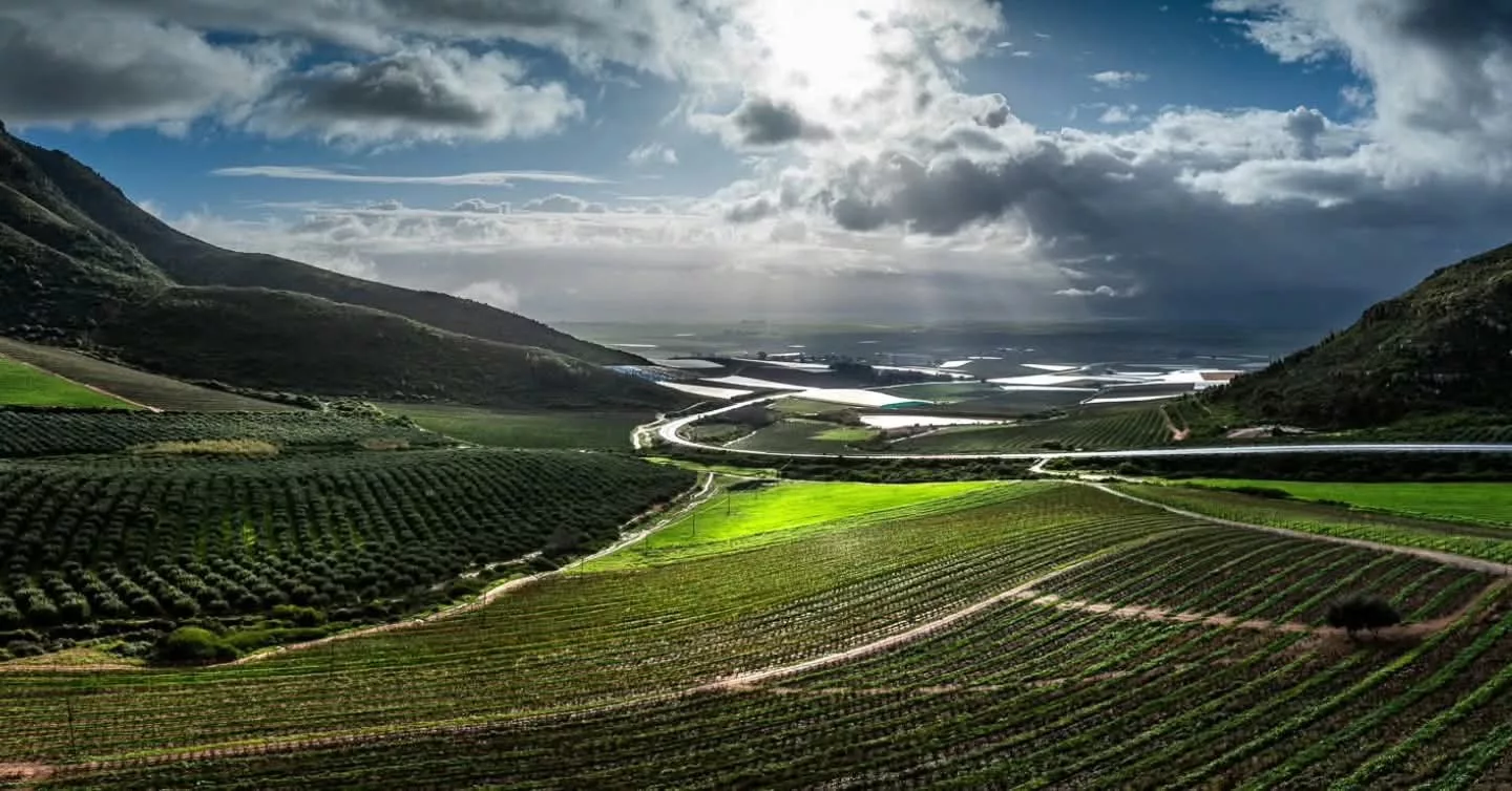 Swartland art scene, Riebeek Kasteel galleries, Riebeek Valley art weekend, Darling art studios, Yzerfontein art route, Solo Studios 2026, Western Cape creative travel, Cape Town weekend escape, Swartland contemporary art, rural art tourism South Africa, art getaway Western Cape, local artists Swartland, Getaway Magazine