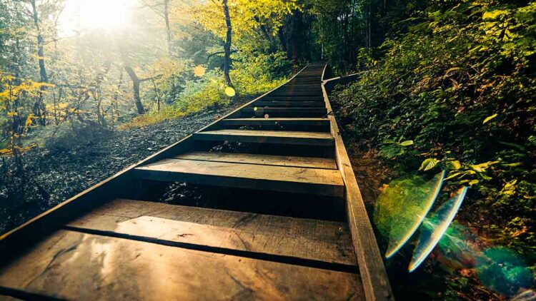 Tech Services Buyer Survey: Betting Big on AI and Resilience