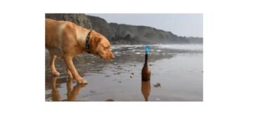 Travel Tech Essentialist #200: Remarkable