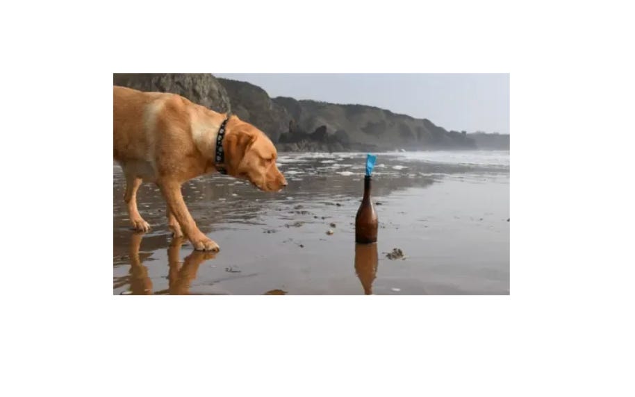 Travel Tech Essentialist #200: Remarkable