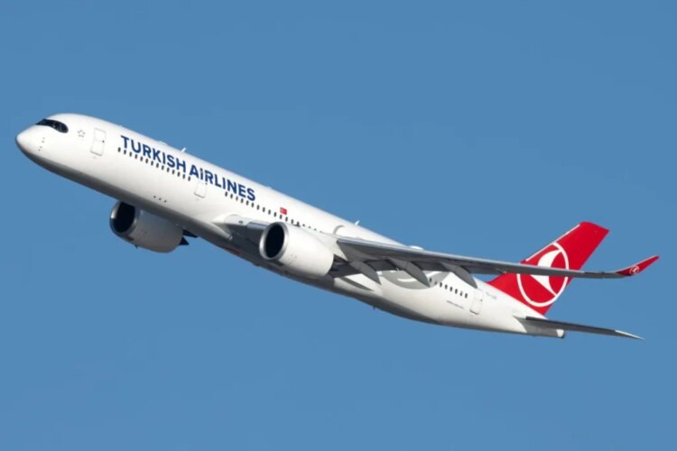 Turkish Airlines Brings on New Chairman and CEO in Latest Exec Shakeup