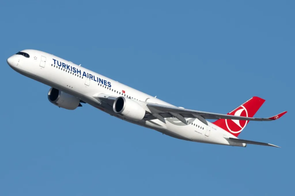 Turkish Airlines Brings on New Chairman and CEO in Latest Exec Shakeup