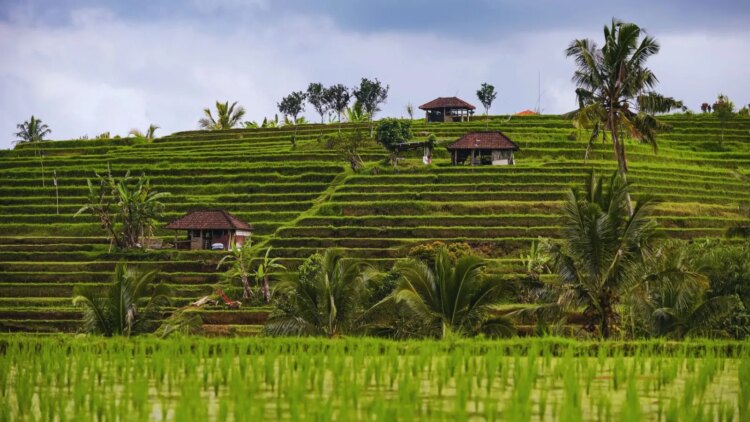 Four Southeast Asian Villages Win UNWTO's Best Tourism Awards