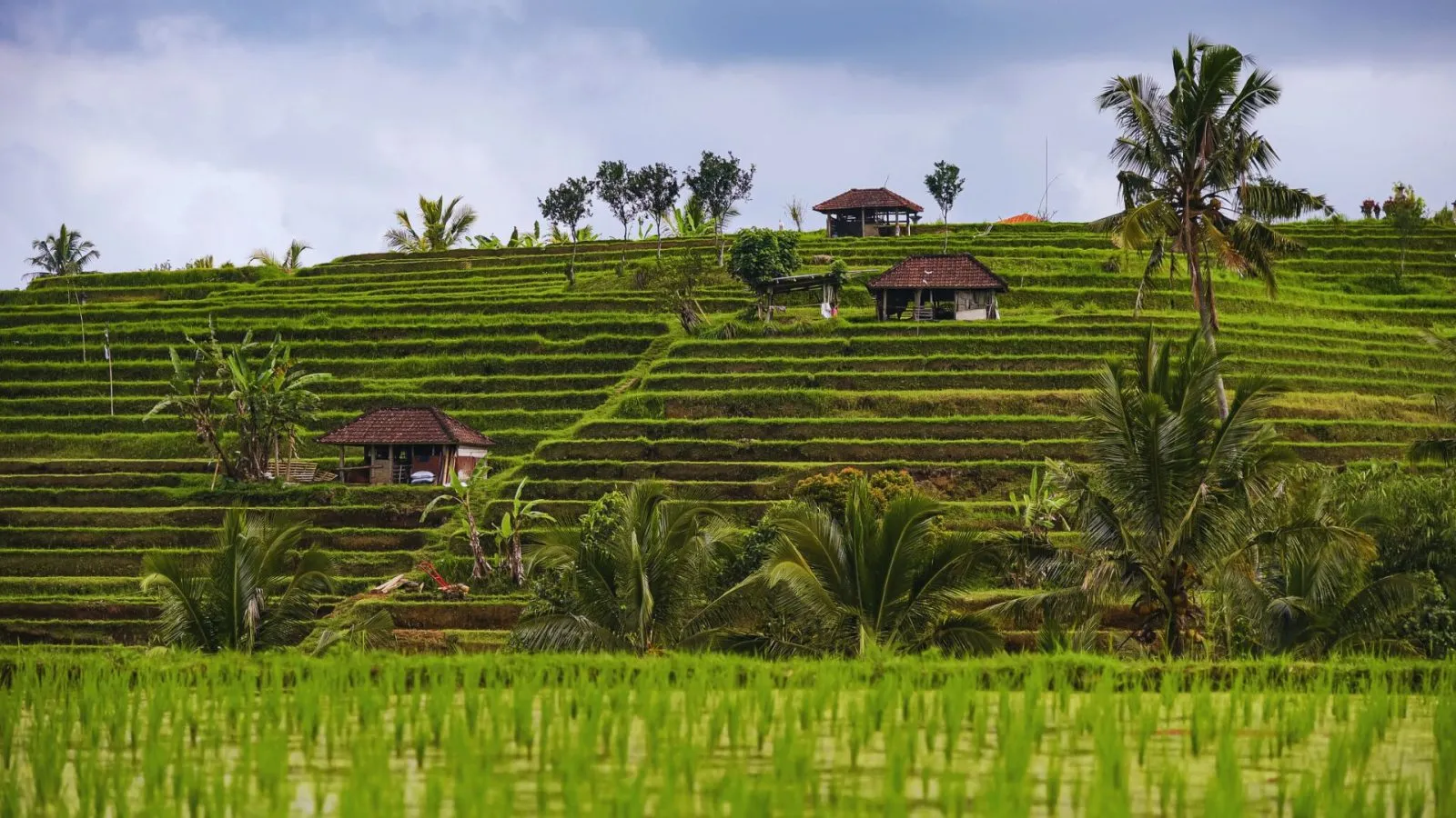 Four Southeast Asian Villages Win UNWTO's Best Tourism Awards