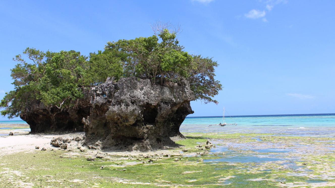 Zanzibar halts tourism leases to plan Pemba