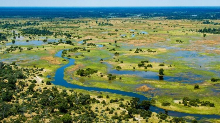 Botswana’s high-water year shifts safari balance
