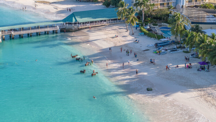Canadian Airline That Canceled All U.S. Flights Keeps Canada's Boycott Alive With Bold New Route To ...
