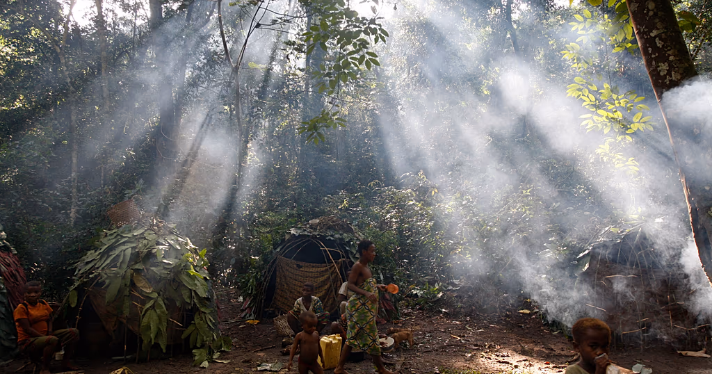 Congo’s forests under strain from overlapping land use