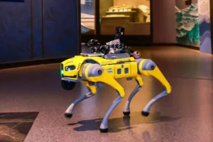 Singapore Tourism Board Launches AI Robodog Visitor Guides Pilot