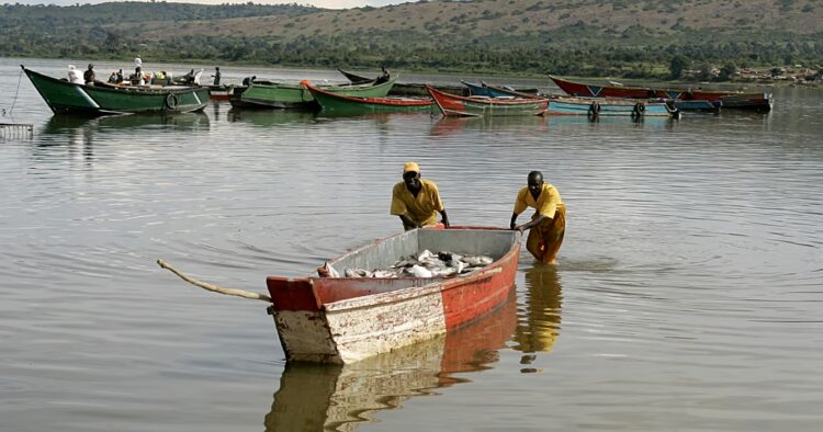 Dozens still missing in Uganda river boat accident as search resumes