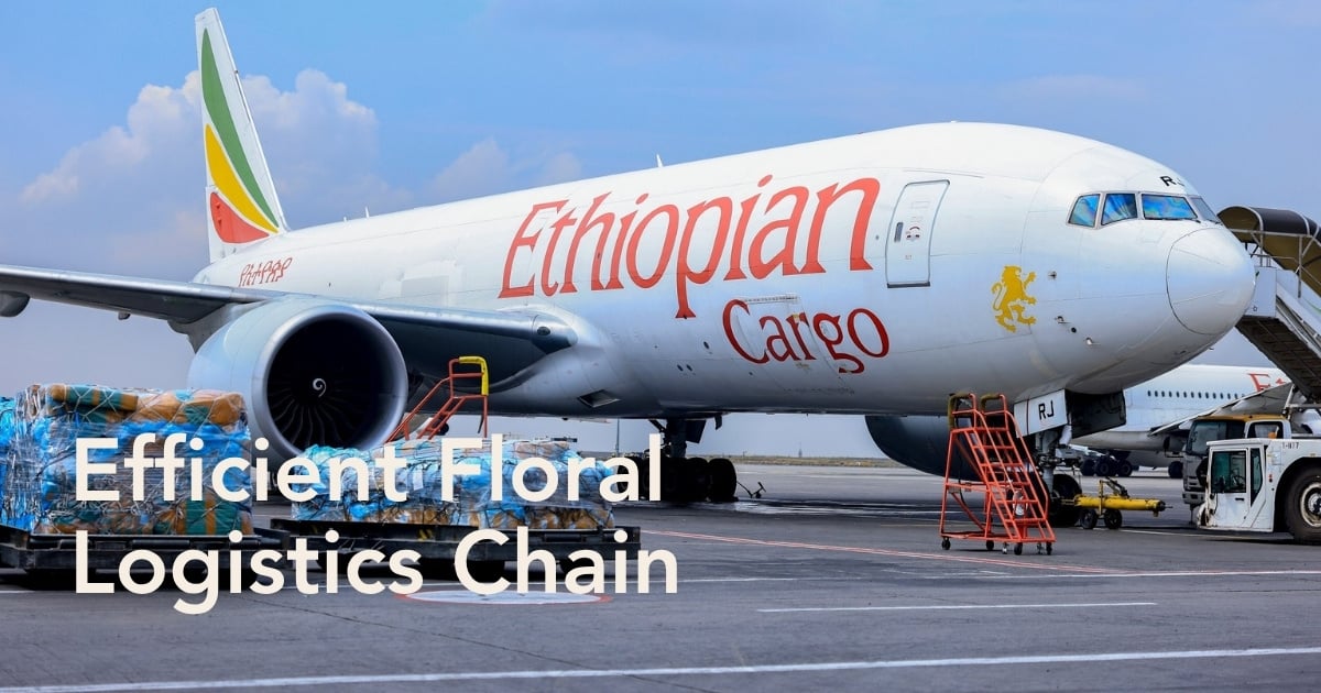 EHPEA and Ethiopian Airlines Cargo and Logistics Services Enhancing Ethi...
