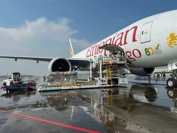 Ethiopian Airlines Launches Direct Freighter Service Linking Chengdu with Africa - ENA English