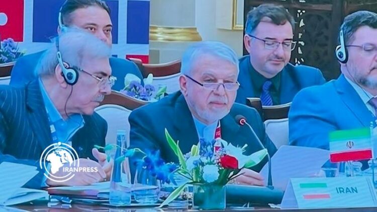 Iran Minister: World Needs Resilient Societies, Not Just Economies