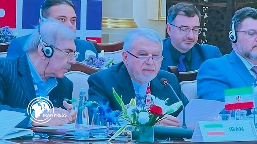 Iran Minister: World Needs Resilient Societies, Not Just Economies