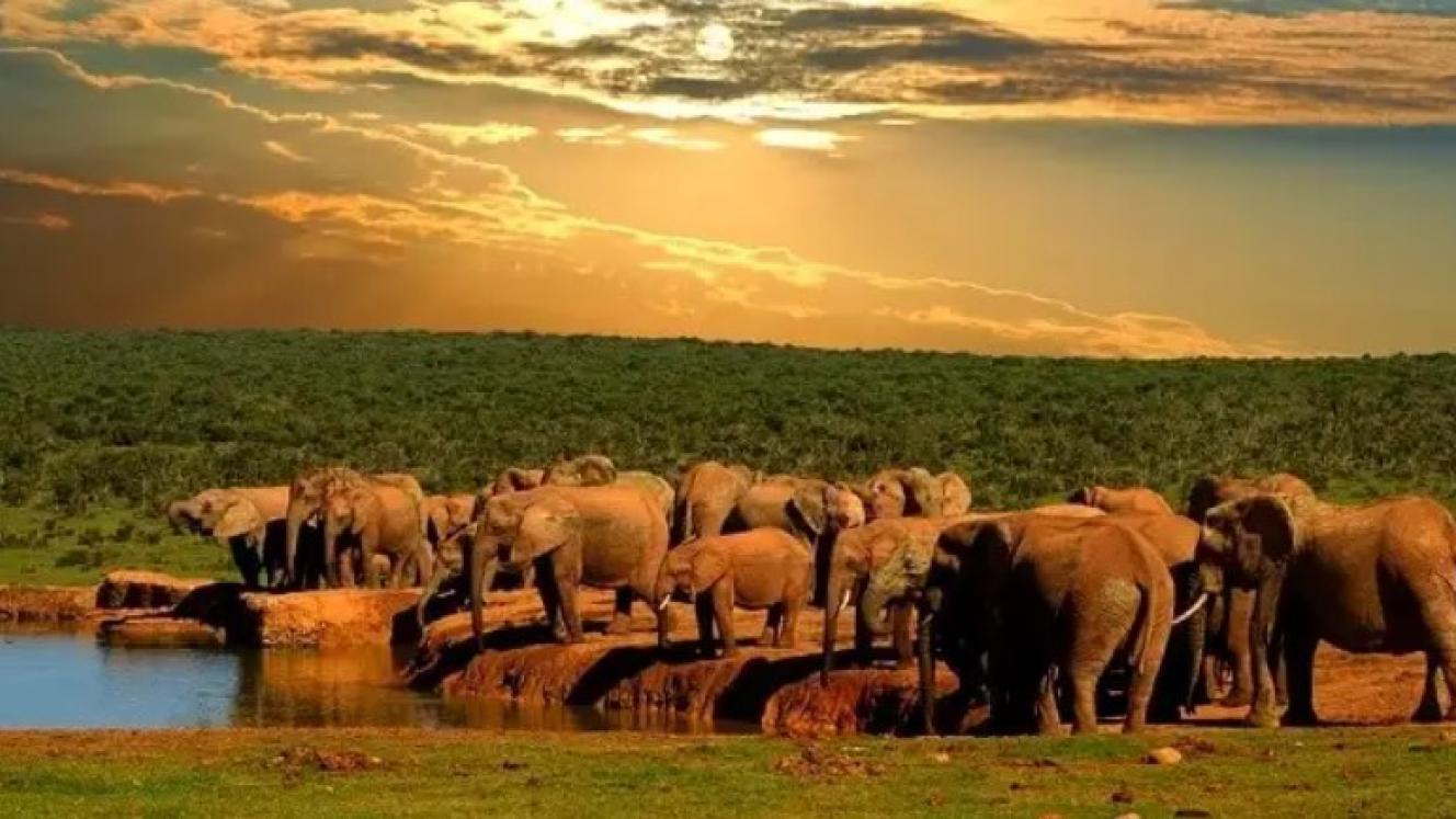 SANParks starts vehicle spraying in select parks