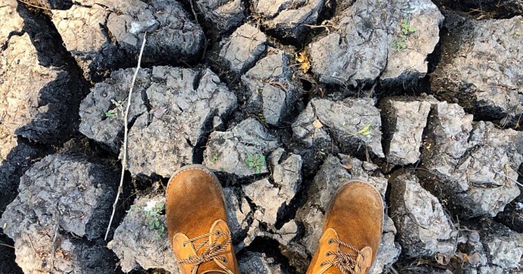 Sudan farms lie barren as El Nino leaves Nile banks dry