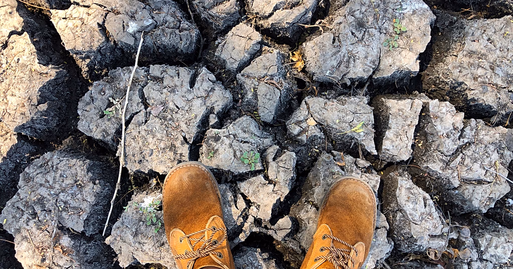 Sudan farms lie barren as El Nino leaves Nile banks dry