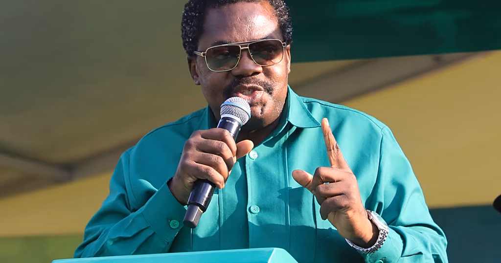 Tanzania’s Vice President Emmanuel Nchimbi resigns
