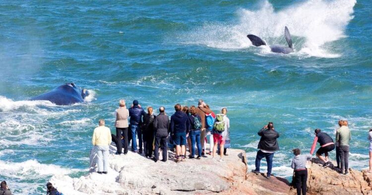 10 Popular South Africa Tourist Destinations & Safety Tips