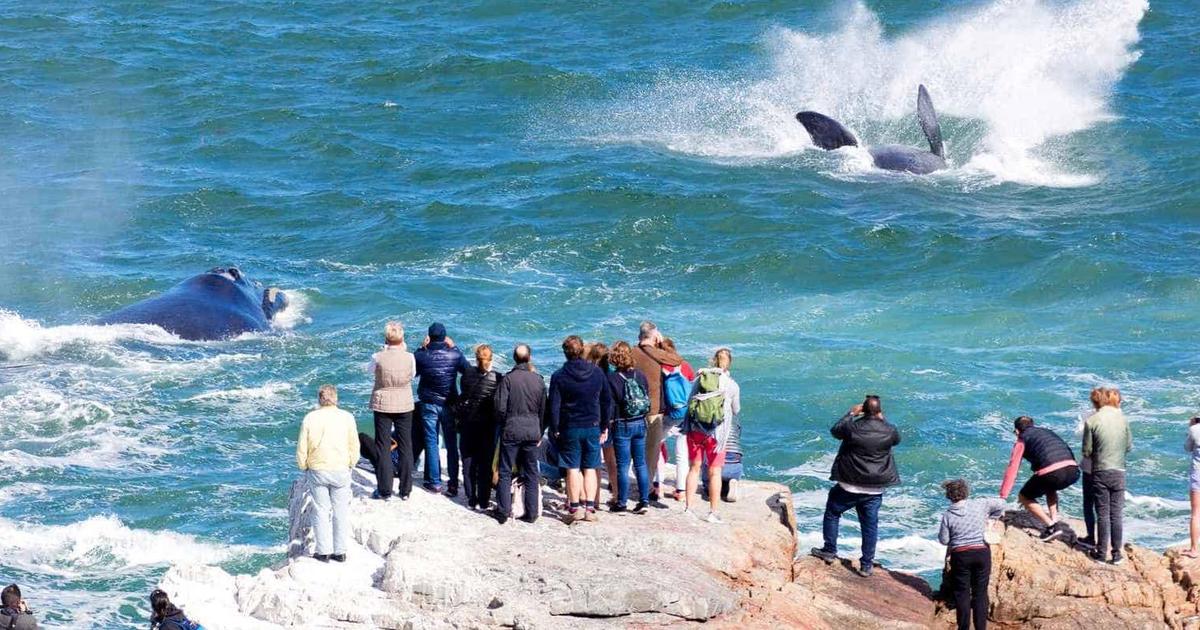 10 Popular South Africa Tourist Destinations & Safety Tips