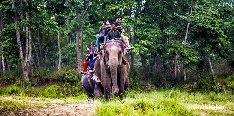 Rising arrivals demand a national tourism dashboard