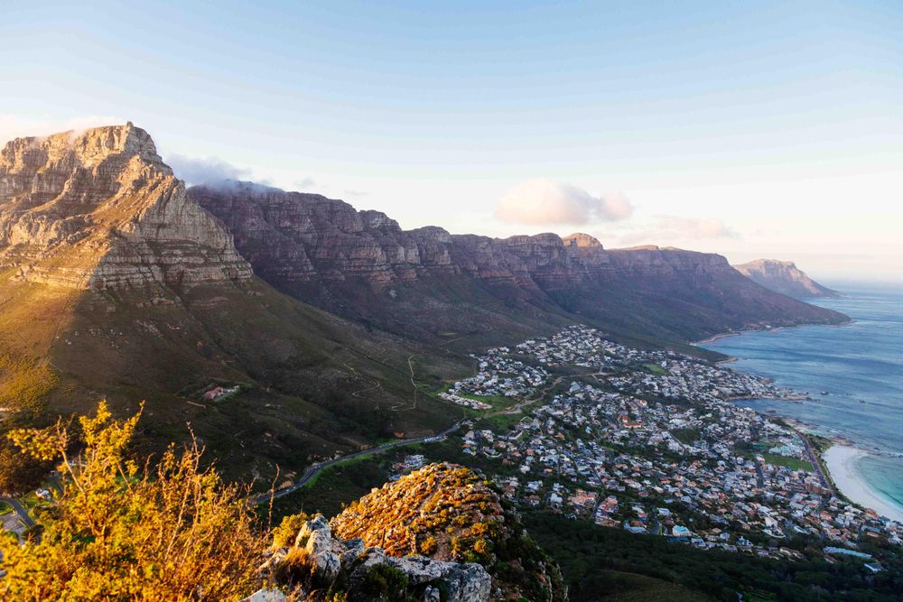 Add Cape Times as a preferred source on Google