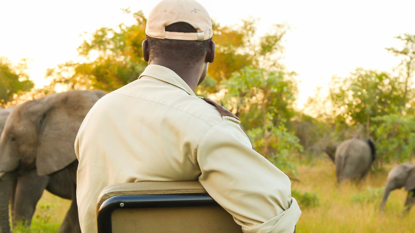Safari interest strong but bookings harder won